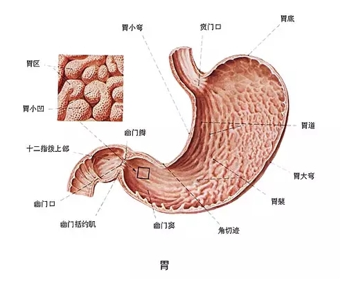石家庄医院,石家庄众安医院,河北众安医院 石家庄医院,石家庄众安医院,河北众安医院
